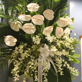 Anthuriums and orchids