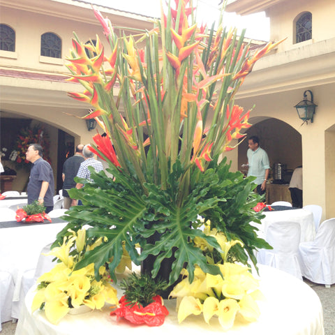 Table centerpiece exotic arrangement