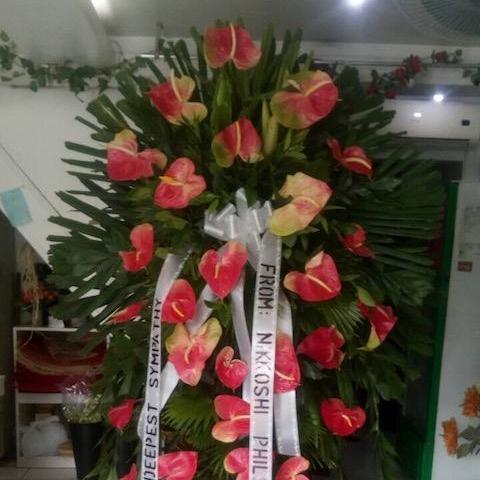 Colored 36 XL Anthuriums