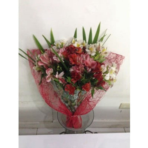 Mixed Color Alstroemeria