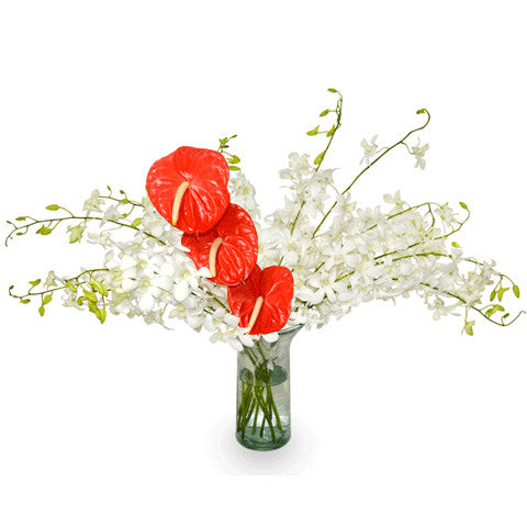Vase of orchids with red anthuriums
