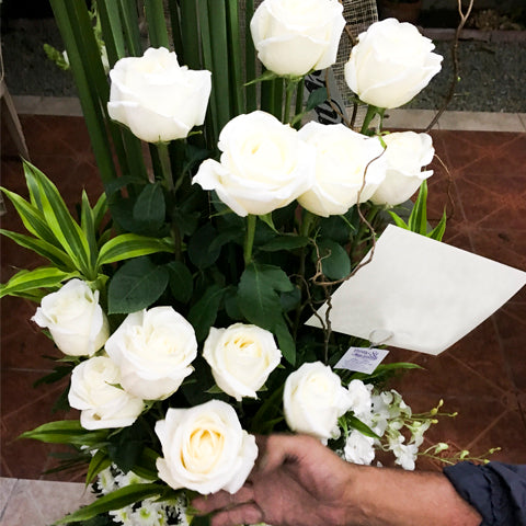 Vase of twelve white world's best Ecuador roses