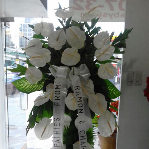 All white solo 12XL Anthuriums