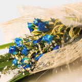 Bouquet of 12 blue roses with babies breath