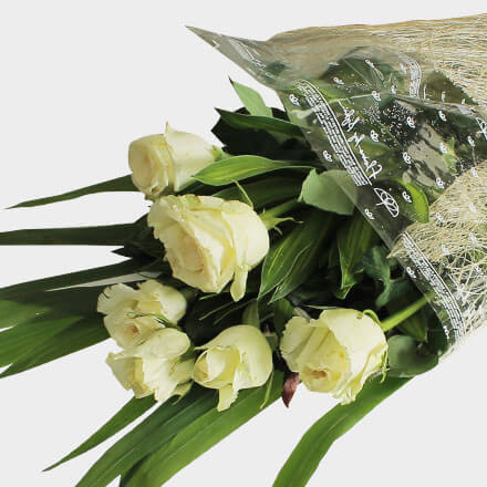 Bouquet of six white roses