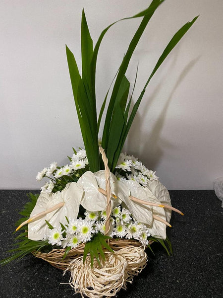 WHITE JUMBO ANTHURIUM WITH MUMS IN A BASKET