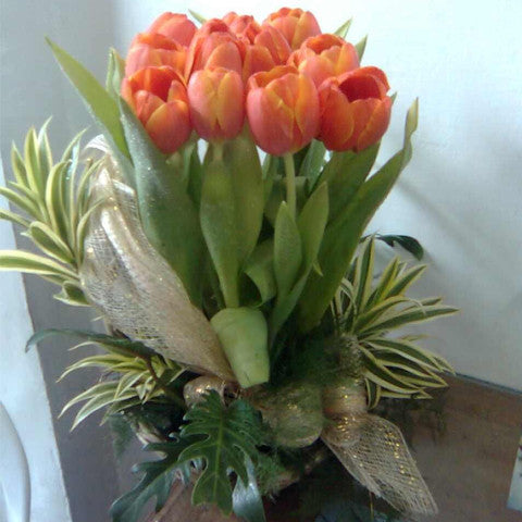 10 pcs Tulip Vase